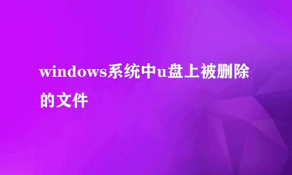 windows系统中u盘上被删除的文件