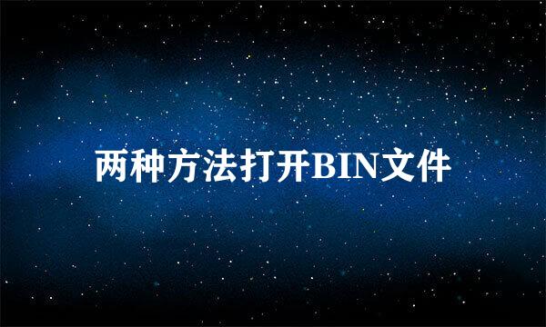 两种方法打开BIN文件