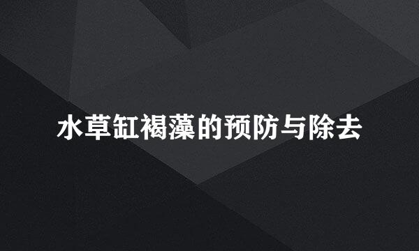 水草缸褐藻的预防与除去