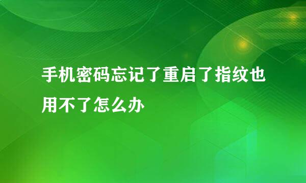 手机密码忘记了重启了指纹也用不了怎么办