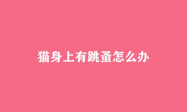 猫身上有跳蚤怎么办