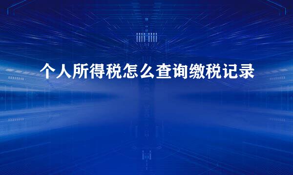 个人所得税怎么查询缴税记录