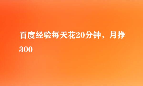 百度经验每天花20分钟，月挣300