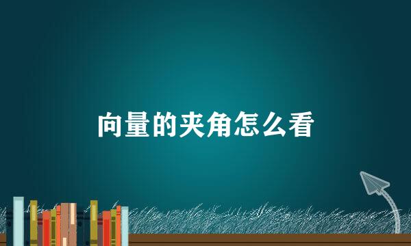 向量的夹角怎么看