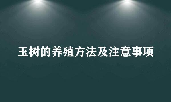 玉树的养殖方法及注意事项