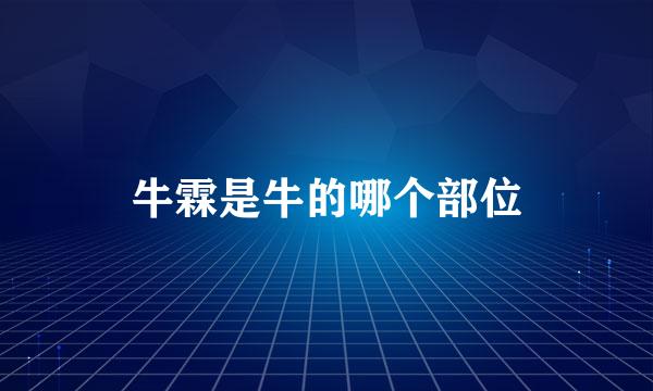 牛霖是牛的哪个部位