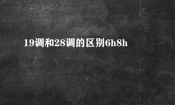 19调和28调的区别6h8h