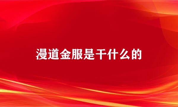 漫道金服是干什么的