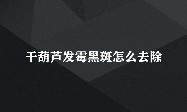 干葫芦发霉黑斑怎么去除
