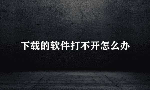 下载的软件打不开怎么办