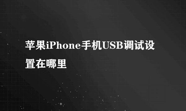 苹果iPhone手机USB调试设置在哪里