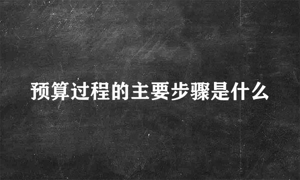 预算过程的主要步骤是什么
