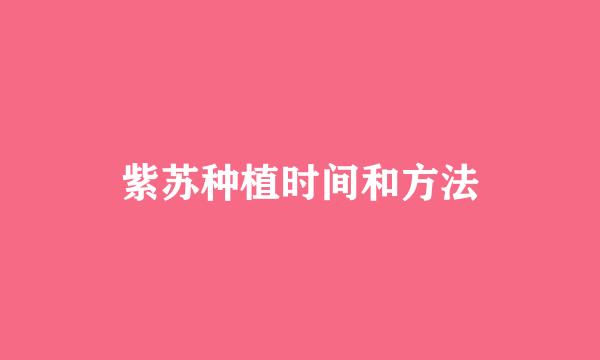紫苏种植时间和方法