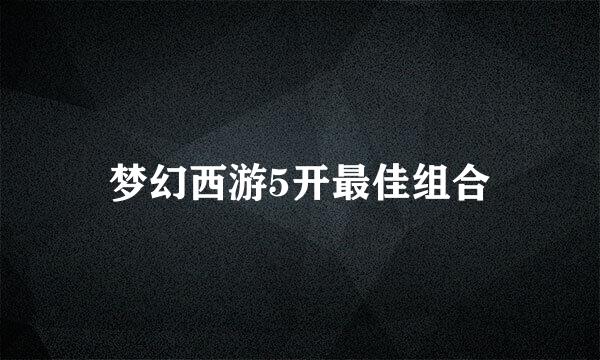 梦幻西游5开最佳组合