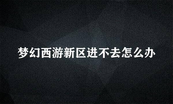 梦幻西游新区进不去怎么办