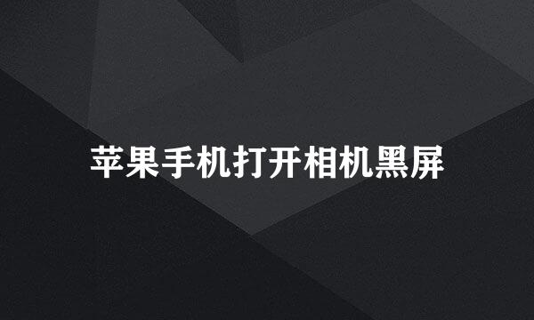 苹果手机打开相机黑屏