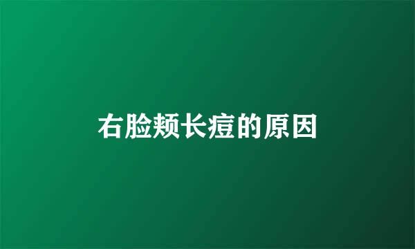 右脸颊长痘的原因
