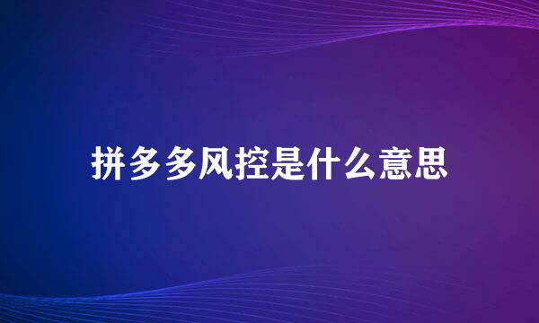 拼多多风控是什么意思