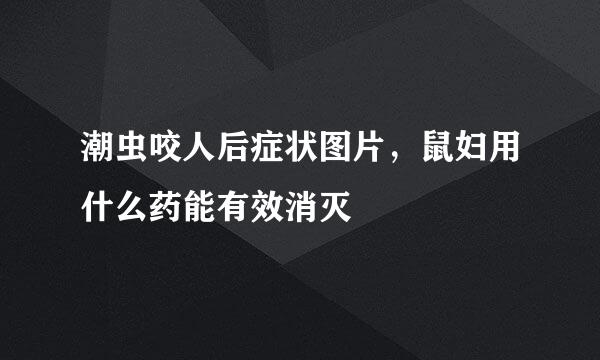 潮虫咬人后症状图片，鼠妇用什么药能有效消灭