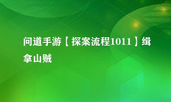 问道手游【探案流程1011】缉拿山贼