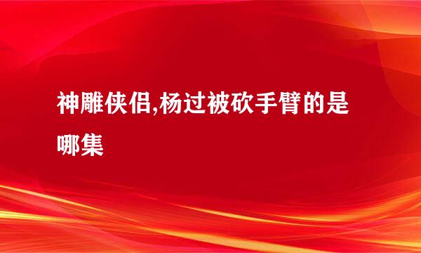 神雕侠侣,杨过被砍手臂的是哪集