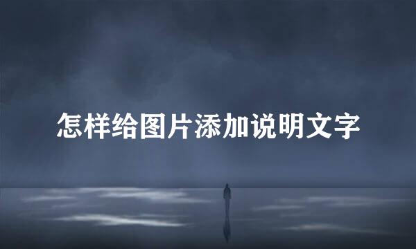 怎样给图片添加说明文字
