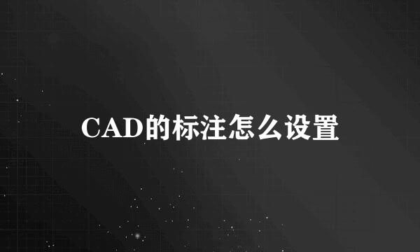CAD的标注怎么设置