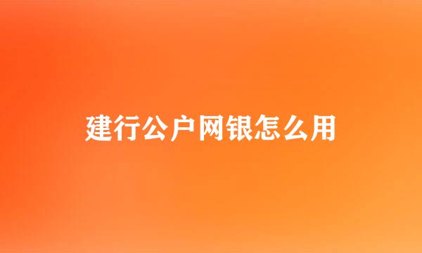 建行公户网银怎么用