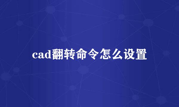 cad翻转命令怎么设置