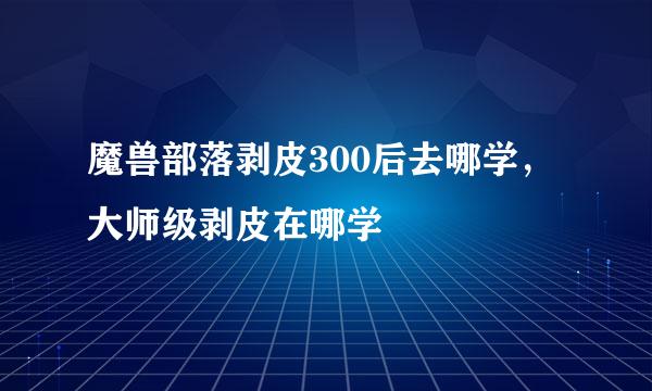 魔兽部落剥皮300后去哪学，大师级剥皮在哪学