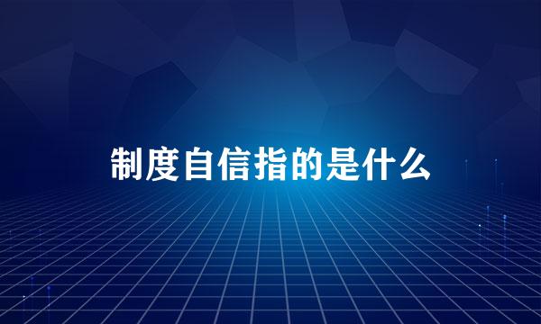 制度自信指的是什么