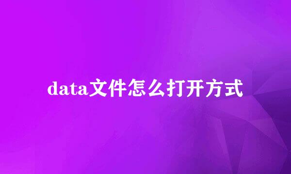 data文件怎么打开方式