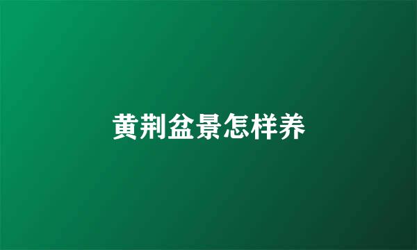 黄荆盆景怎样养