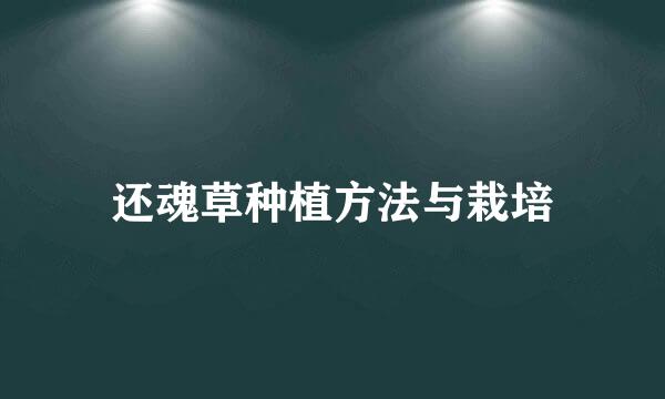 还魂草种植方法与栽培