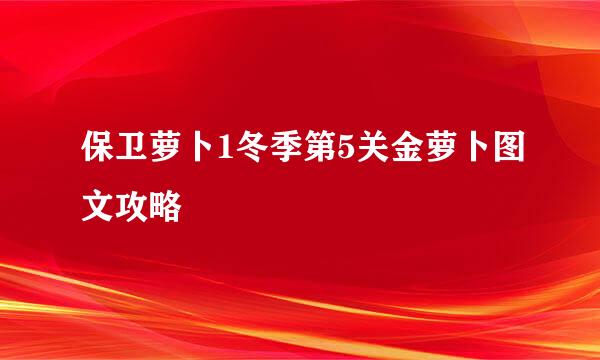 保卫萝卜1冬季第5关金萝卜图文攻略