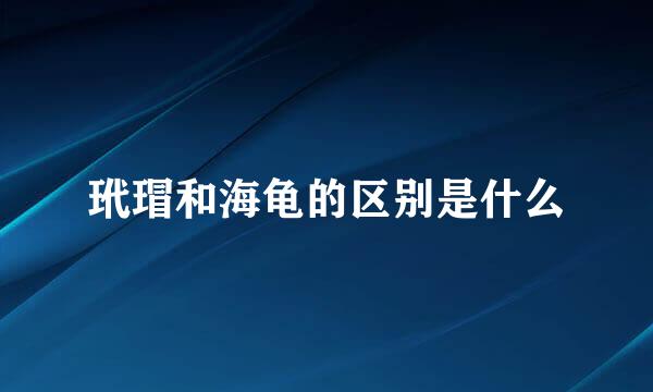玳瑁和海龟的区别是什么