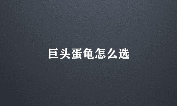 巨头蛋龟怎么选