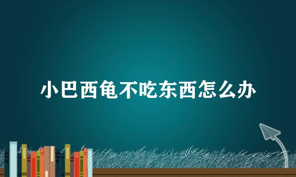 小巴西龟不吃东西怎么办