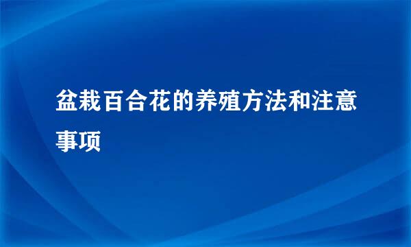 盆栽百合花的养殖方法和注意事项