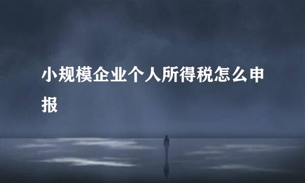 小规模企业个人所得税怎么申报