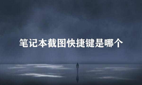 笔记本截图快捷键是哪个