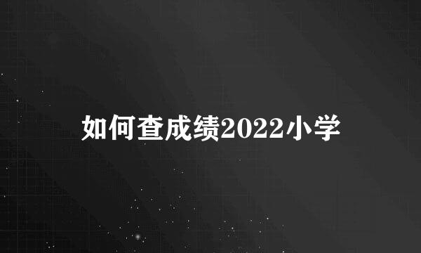 如何查成绩2022小学