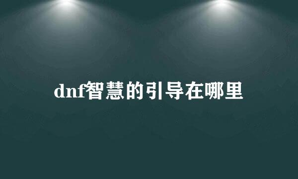 dnf智慧的引导在哪里