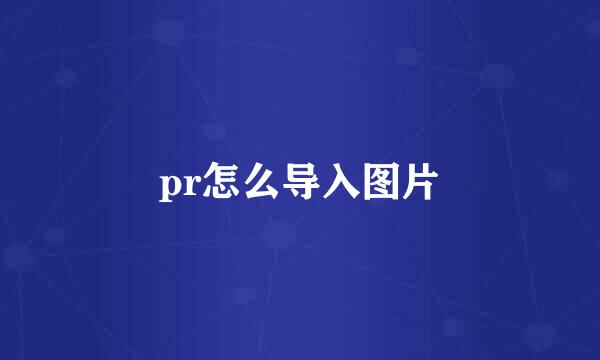 pr怎么导入图片