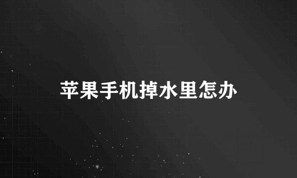 苹果手机掉水里怎办