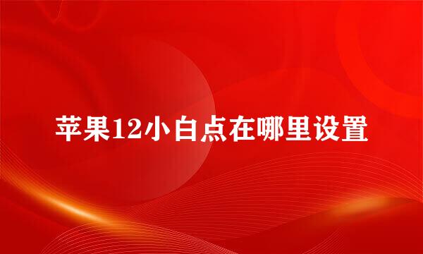 苹果12小白点在哪里设置