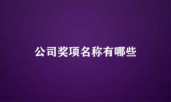 公司奖项名称有哪些