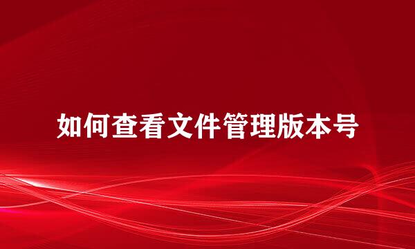 如何查看文件管理版本号