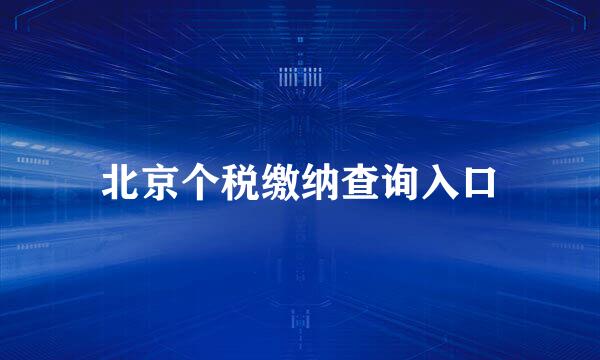 北京个税缴纳查询入口
