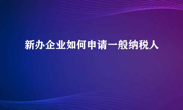 新办企业如何申请一般纳税人